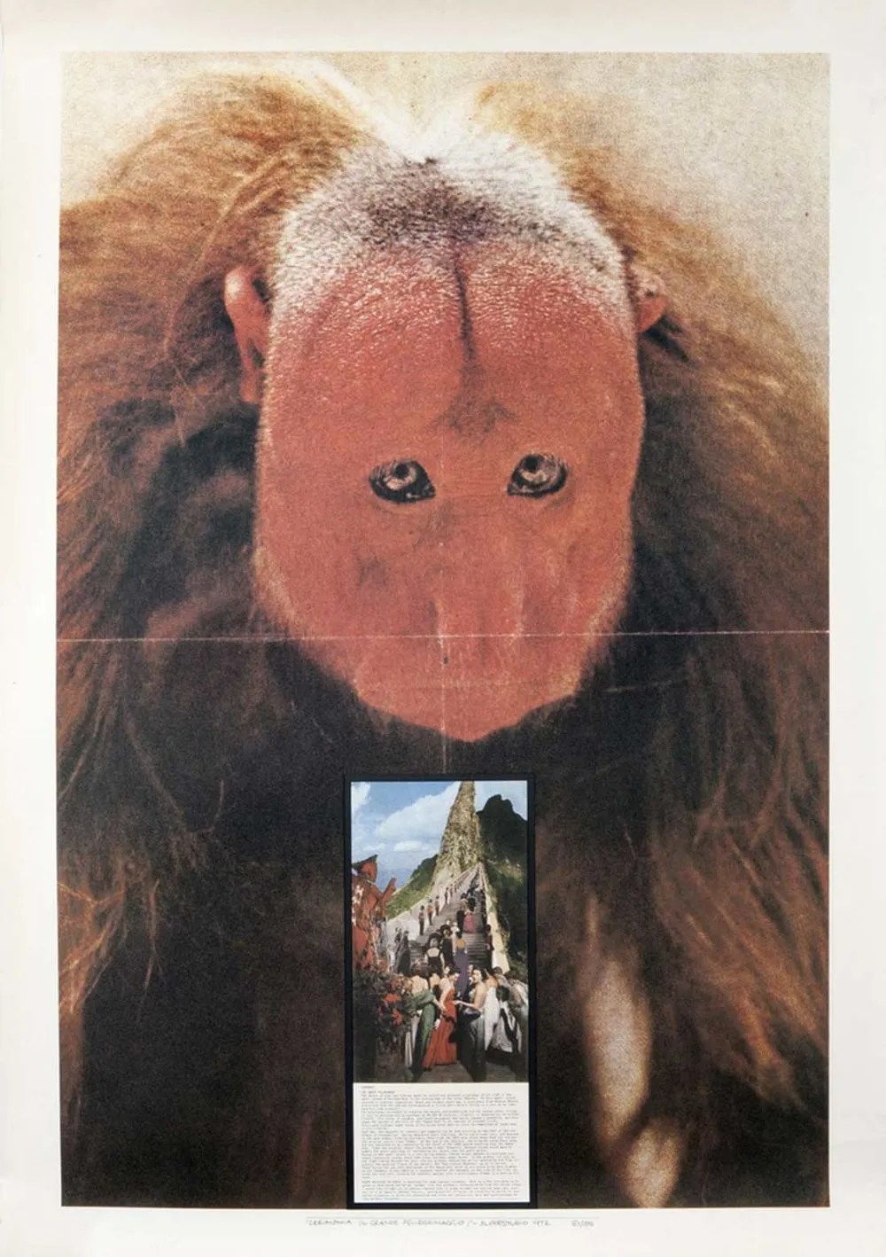 The Fundamental Acts –&nbsp;3.Ceremony